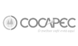 cinza-33.webp